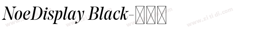 NoeDisplay Black字体转换